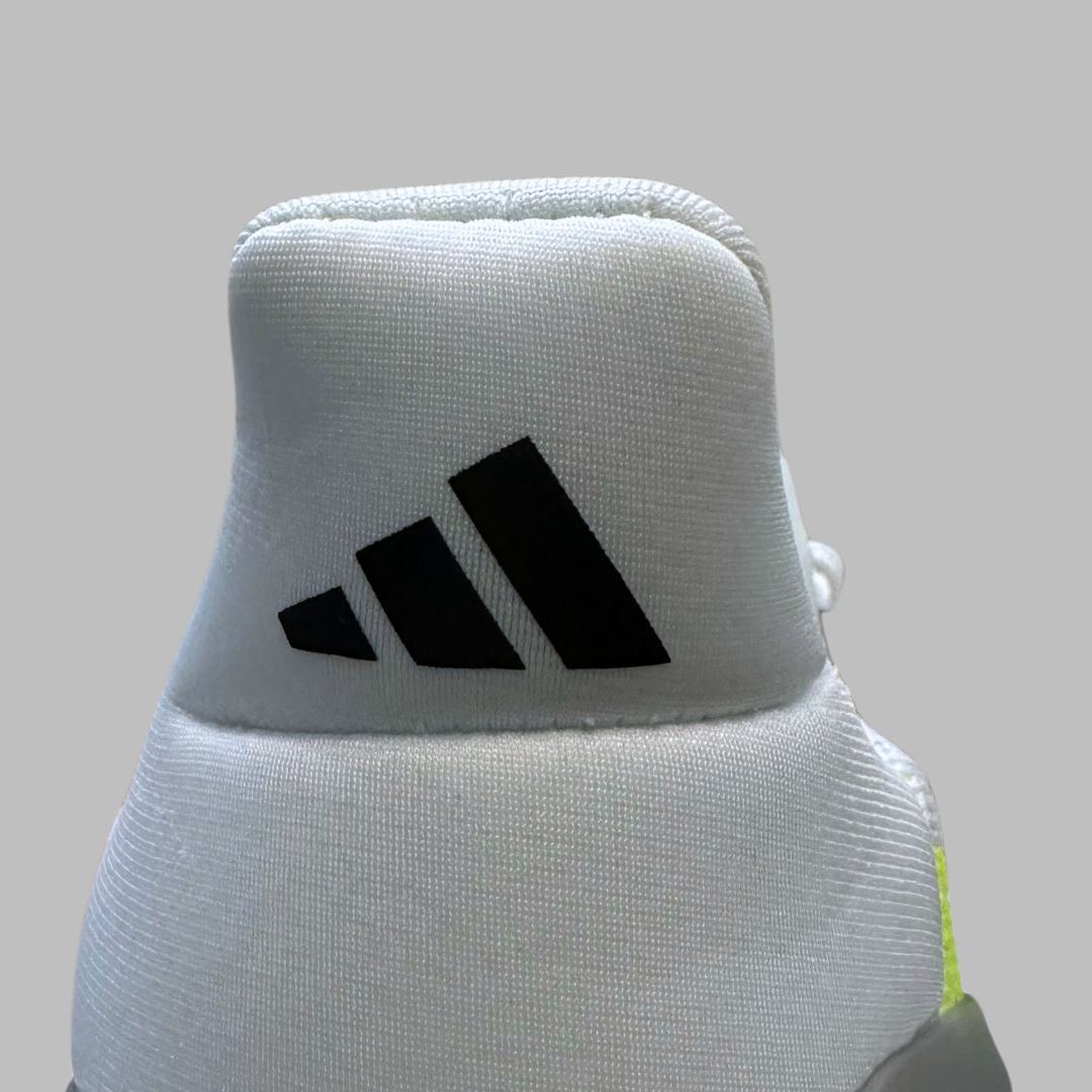 AD Ultraboost 5 2024 (limited)